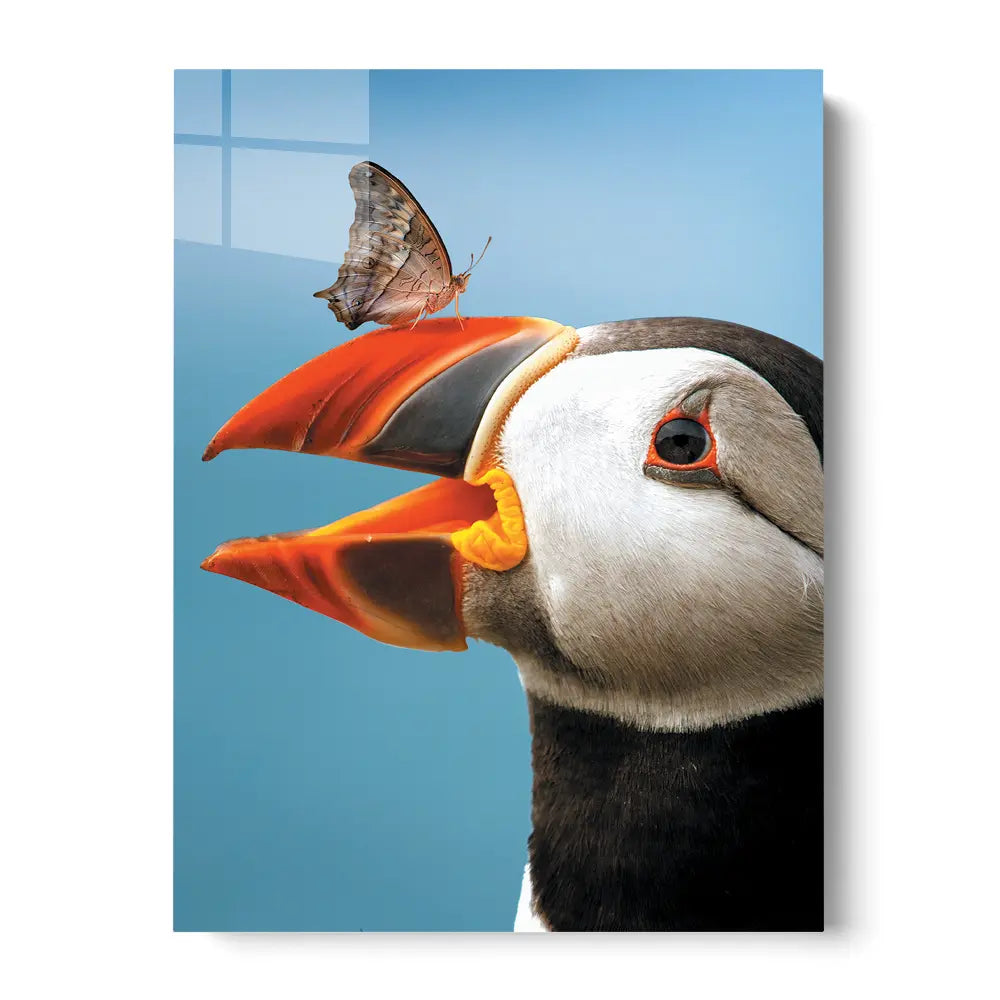 Atlantic Puffin Butterfly