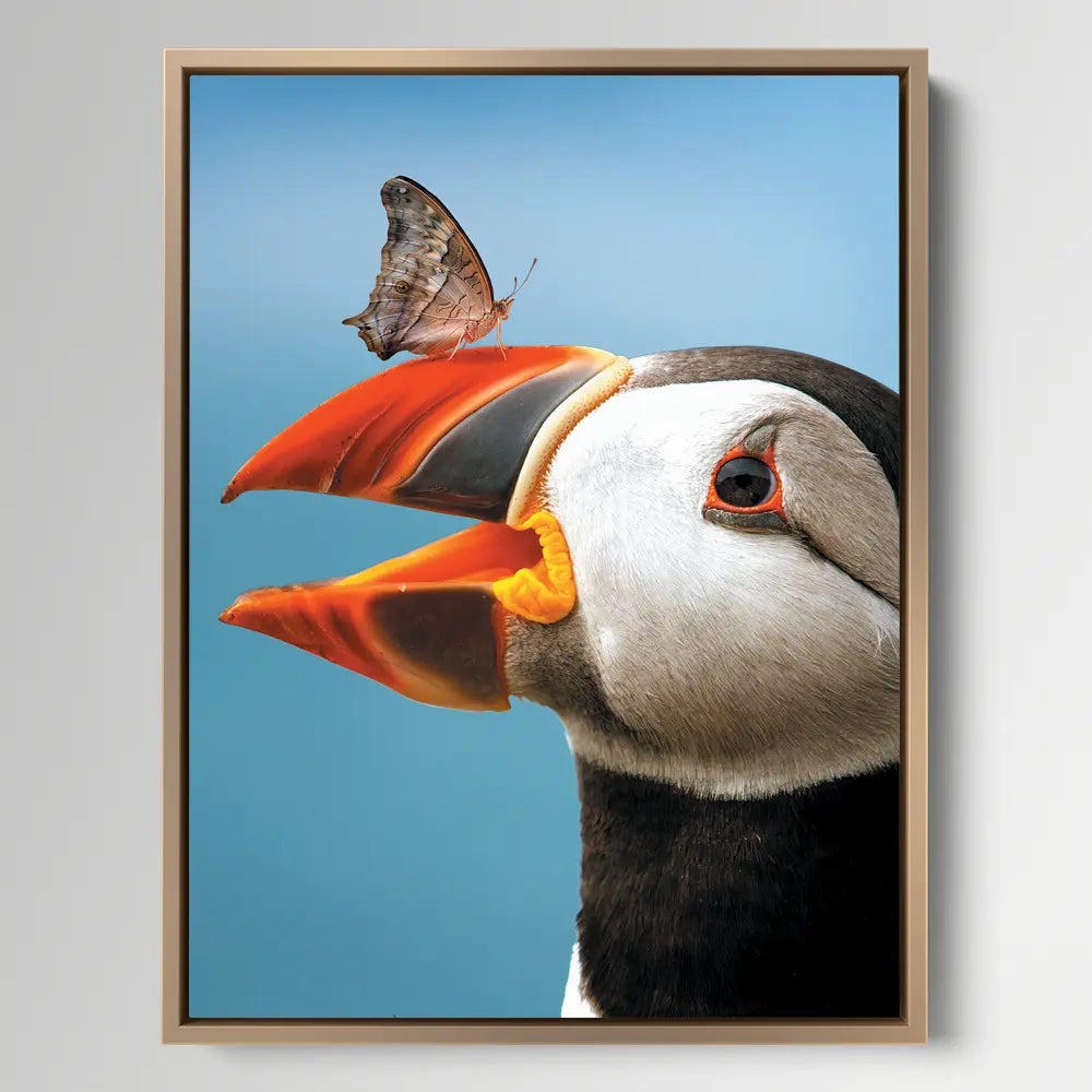 Atlantic Puffin Butterfly